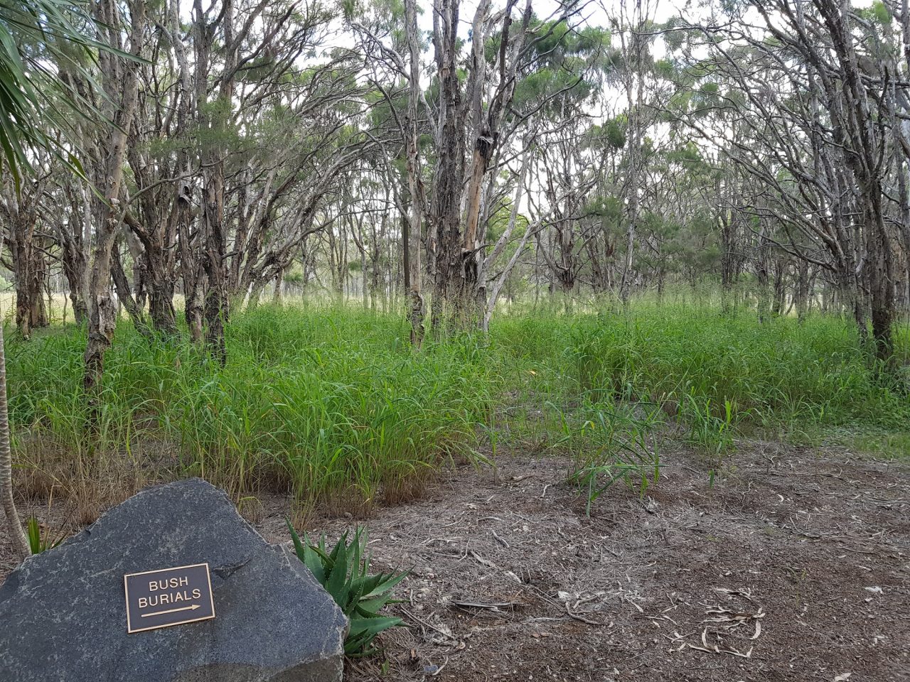 grave headstone for a bush eco funeral